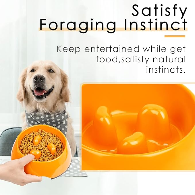 Super Design Slow Feeder Dog Bowl, 3 Cup, Non-Slip, Heat-Resistant, Sturdy, Dishwasher Safe, Suitable for Large Dogs