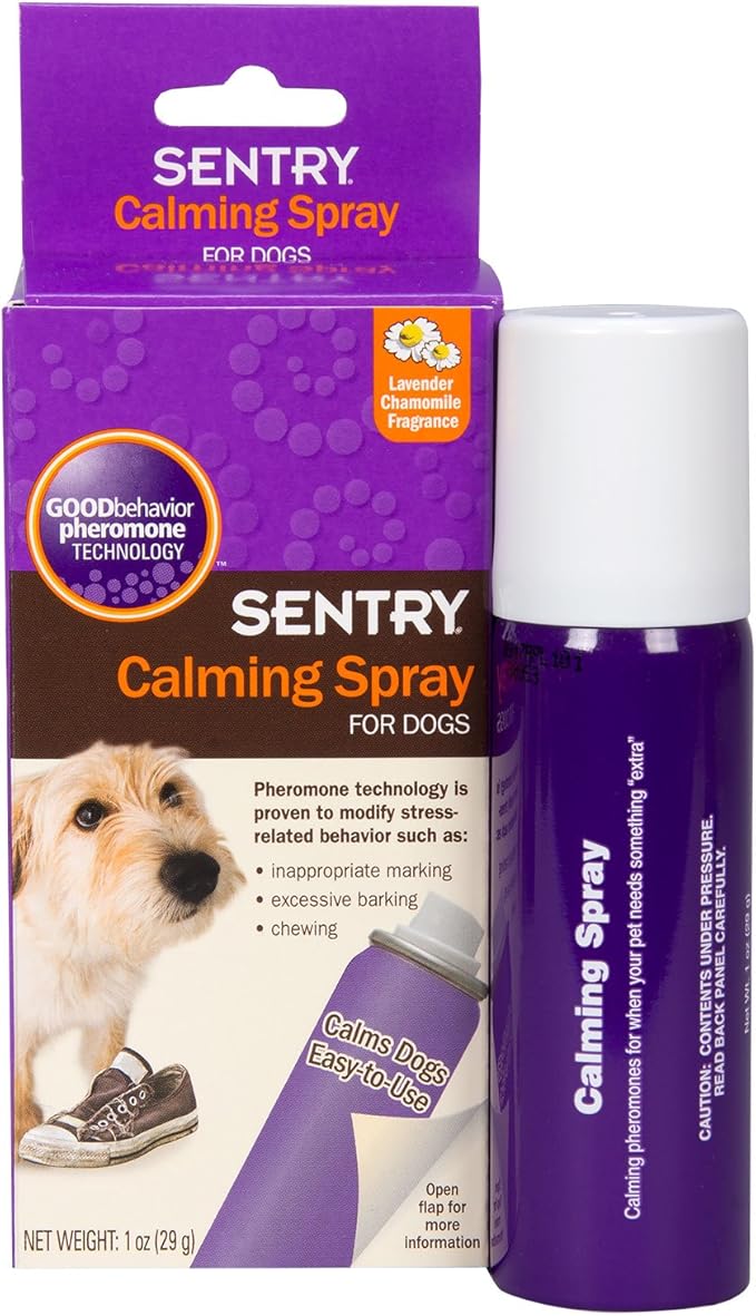 Calm Dog Kit – Instant Anxiety Relief + 3-Tool System