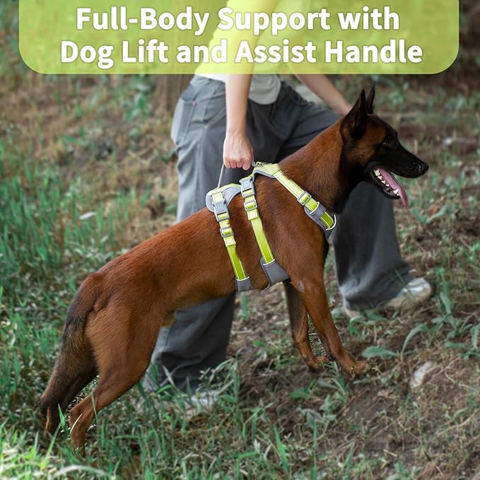 Huntboo Reflective Dog Harness with Handle, Escape Proof, No Slip, Breathable, Lightweight, Adjustable Lift Harness for Small, Medium, and Large Dogs Walking, Training,and Running Gear(Bright Green,M)
