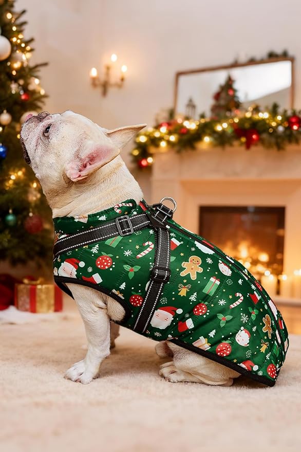 Aiboria Dog Jackets for Winter Windproof Waterproof Vest Fleece Warm Dogs Coat with Belt Christmas Green M