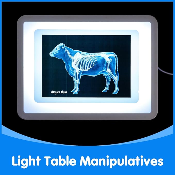 Farm Animal Xrays – 10 Pcs Animal Science Kit for Kids, Light Table Accessories for Vet Role Play & Preschool Learning