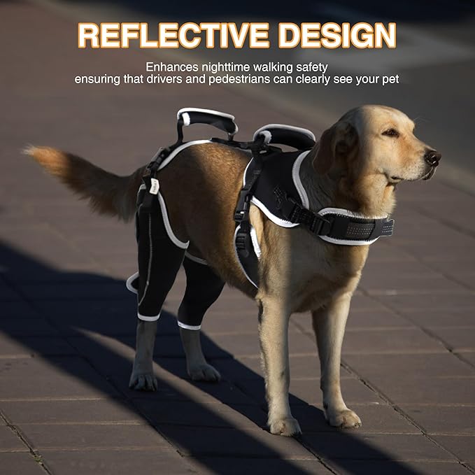 Dog Knee Support for ACL Tear Rehabilitation and Dislocated Patella -Adjustable Leg Support and Sufficient Breathability,Injury Recovery and Balance Assistance-Both Leg-L Size
