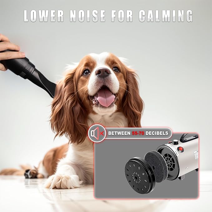 Dog Hair Dryer High Velocity Professional Dog Blow Dryer with Adjustable Speed Dog Pet Grooming Dryer Blower with 4 Nozzle 2 Blow Temperature（White