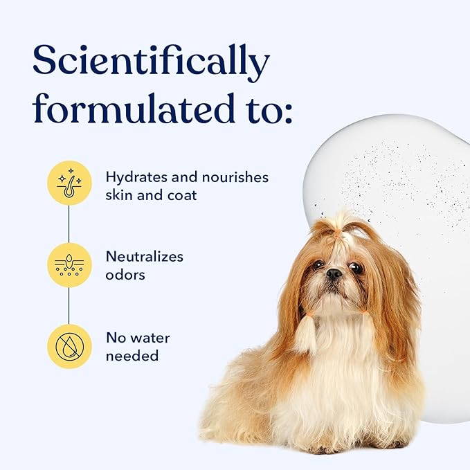 Honest Paws Dog Dry Shampoo - Waterless No Rinse Spray Formula Reducing Itch Cleanse Hydrate Nourish Dry Skin and Smelly Coat Help Decrease Odor Shedding and Allergies - Mandarin & Berry - 8 oz
