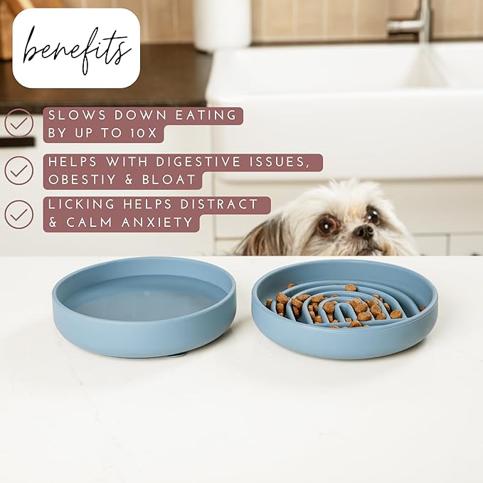 Should We Go? Slow Feeder for Dogs & Cats, The Slowdown Bowl Silicone Slow Eating Mealtime Solution with Modern Lick Mat Design, Reduces Gulping, Fits 1 Cup, 6” Across x 1.25” Tall, Small-Blush