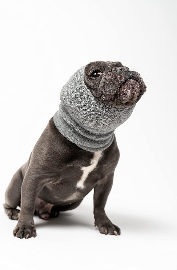 Pet Hoodz PHMG Pet Hoodies, Grey - Medium