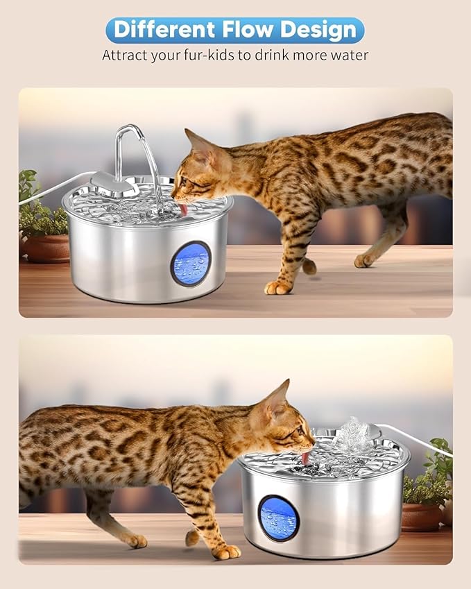 Cat Water Fountain+Replacement Pump