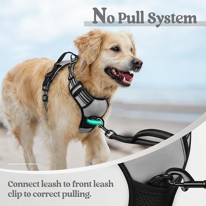 rabbitgoo Dog Harness No Pull with 2 Leash Clips, Adjustable Soft Padded, Reflective Oxford No Choke Pet Vest with Easy Control Handle for Large Dogs, Grey, L