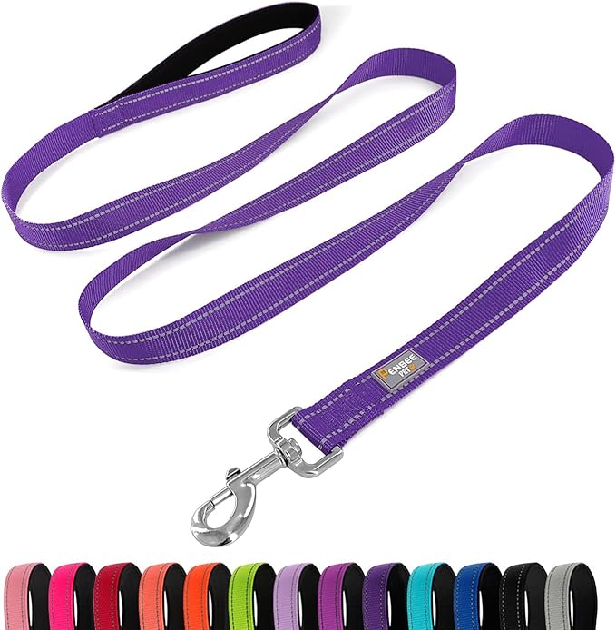 Dog Leash 6 FT Padded Handle Nylon Reflective Dogs Leashes for Medium Dogs Purple