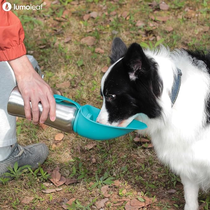 Stainless Steel Dog Travel Water Bottle — 27oz, Portable Bowl, Walking & Hiking (Grey)