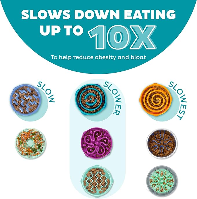 Outward Hound Fun Feeder Slo Bowl Slow Feeder Dog Bowl Bundle, Large/Regular and Medium/Mini, Purple and Turquoise