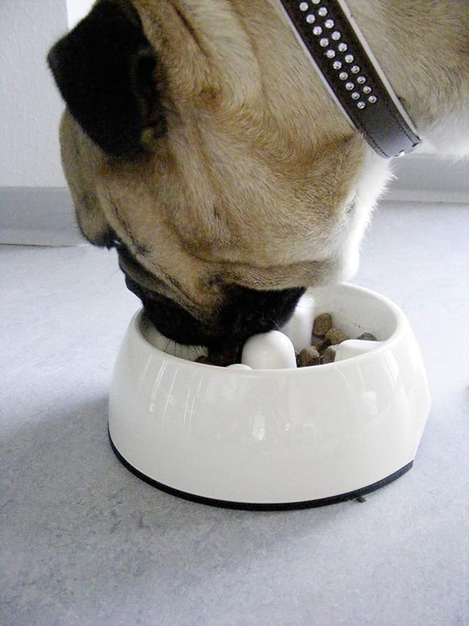 Hagen Dogit Go Slow Anti Gulping Bowl Black Small