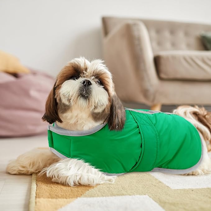 Queenmore Dog Winter Coat, Cold Weather Fleece Jacket for Dogs, Waterproof Reflective Reversible, for Small, Medium and Large Dogs (Green, 2XL)