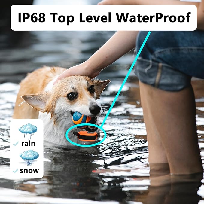 Indoor Pet Barrier for Dogs,Wireless Indoor Electric Fence,Pet Gate, Keeps Areas Off Limits,Dog Fence Waterproof/Rechargeable Training Collar (2 Dogs System)