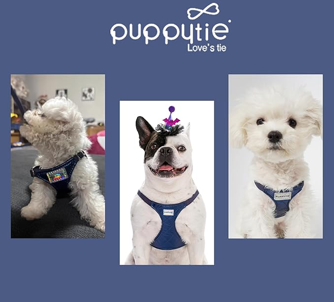 Puppytie No Pull Dog Harness with Multifunction Dog Leash,Soft Adjustable No Choke Escape Proof Pet Harness Vest for Medium Dogs,Glossy Sapphire Blue,M