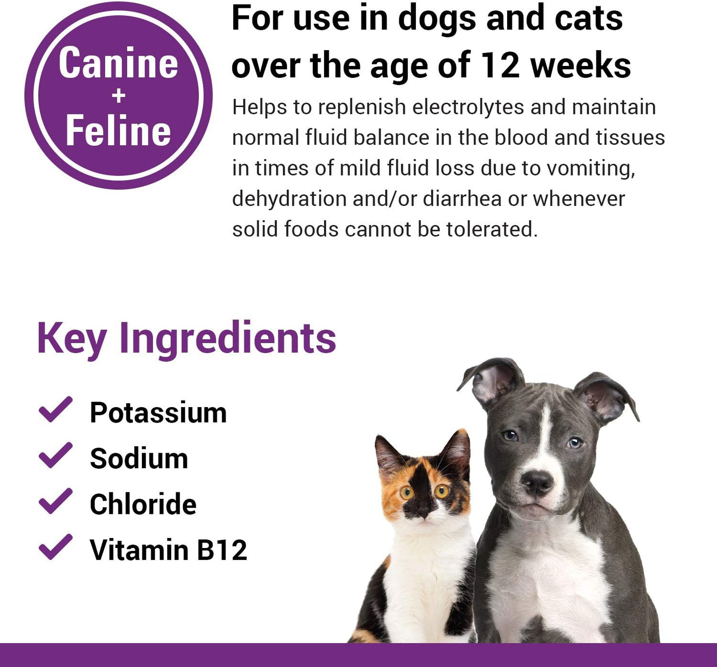 Classics Pet-A-Lyte Oral Electrolyte Solution for Dogs and Cats – Helps Replace Fluids Lost from Pet Dehydration, Diarrhea, Vomiting – Replaces Dog Electrolytes – 32 Oz.