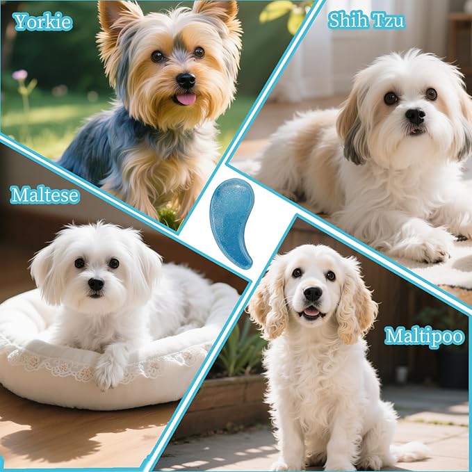 Comma-Shaped Small Dog Brush and Cleaning Comb, Fit for Yorkie, Shih Tzu, Maltese Maltipoo Pomeranian - Gentle Soft Bristles for Effortless Pet Hair Removal, Puppy Essentials (Crystal Blue)