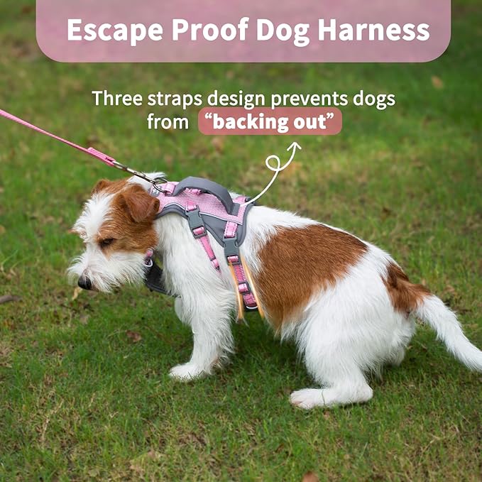 Huntboo Reflective Dog Harness with Handle, Escape Proof, No Slip, Breathable, Lightweight, Adjustable Lift Harness for Small, Medium, and Large Dogs Walking, Training, and Running Gear(Light Pink,XS)