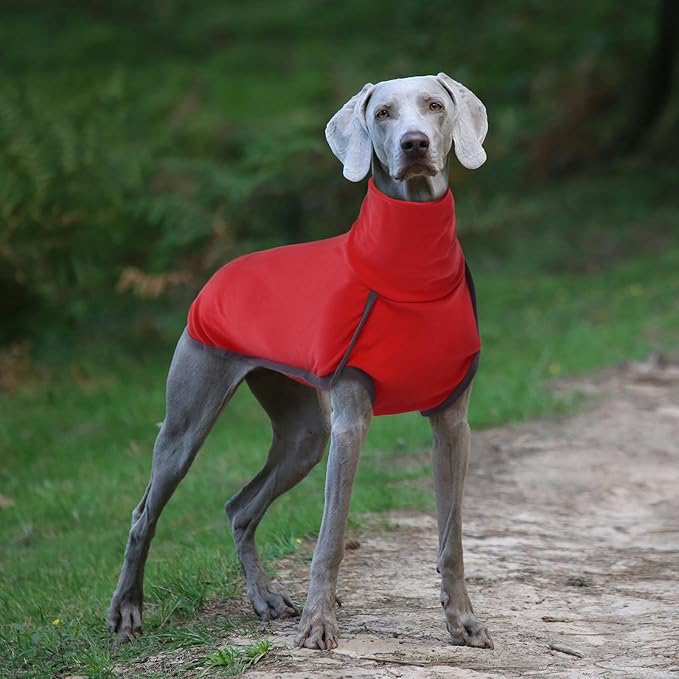 ROZKITCH Dog Winter Coat Soft Pullover Pajamas, Pet Windproof Warm Cold Weather Jacket Vest Cozy Jumpsuit Apparel Outfit Clothes for Xmas Walking Hiking Travel Sleep BRed 4XL