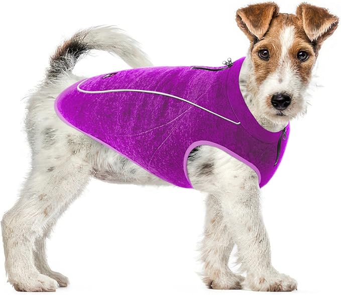 Insulated Fleece Sweater for Dogs | Lightweight Warm Dog Vest | Zipper Port for Harness | Cold Weather Winter Jacket | Rain Snow Repellant Coat | Adjustable for Small Medium Large Girl Dog (Purple/XS)
