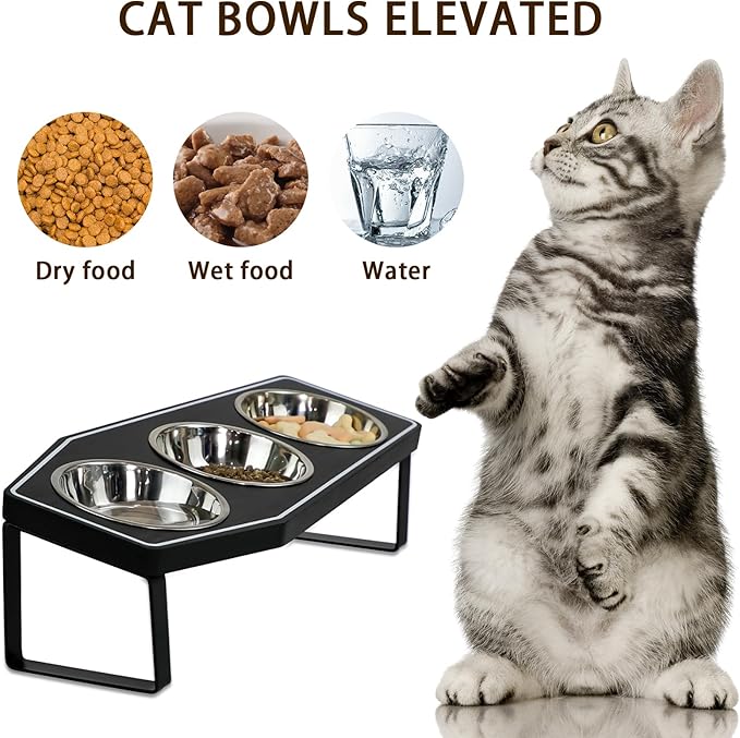Gothic Cat Food Bowls Elevated, Raised Cat Bowls for Indoor, Non-Slip Stand & Wood Board, Stainless Steel and Whisker Friendly Food Bowls (Cat Bowl*3)