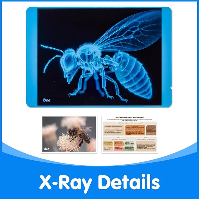 Insect Xrays – Bug Science Kit - Bug Detectives for Kids, Light Table Accessories, STEM Learning Insect X-Ray Set