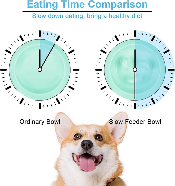 Super Design Slow Feeder Bowls, 2 Cups Slow Feeding Dog Bowl Large Breed Bottom Anti Slip Heavy That Won't Move Easy to Eat Dog Food Suitable for Large Dogs-L-Green