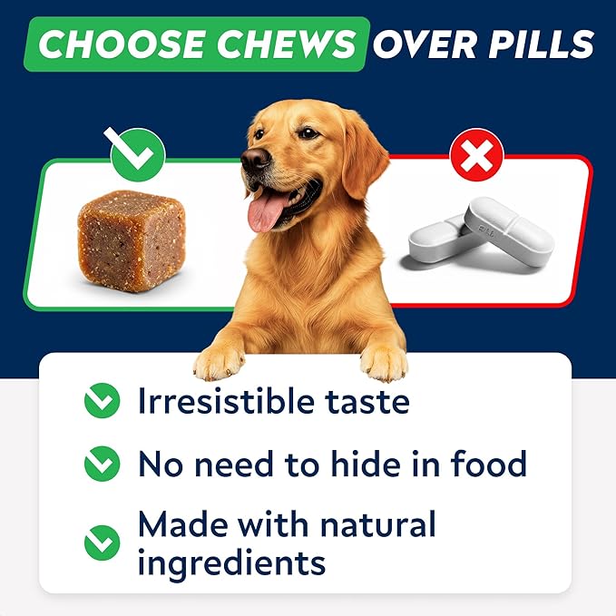 StrellaLab Dog Allergy Relief & Anti Itch Support Chews w/Omega 3: Real Ingredients, Real Taste! Skin & Coat Immune Supplement w/Fish Oil, Pumpkin & Enzymes — Developed by Experts - Made in USA -120Ct