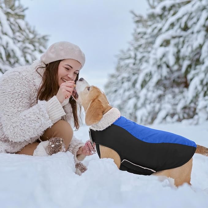 Warm Dog Coat,Waterproof Jacket in Winter Adjustable and Reversible Doggy Fleece Outfit,Thick Clothes with Foldable Collar for Puppy in Cold Days,S RoyalBlue