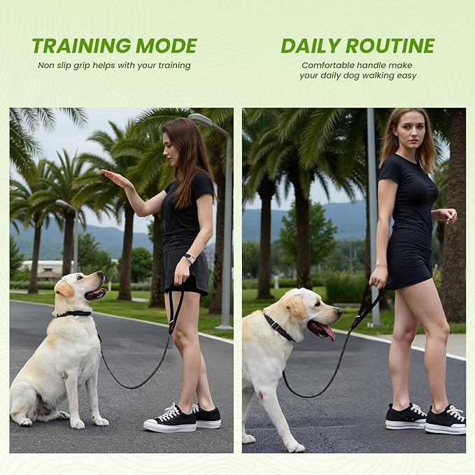 Black Heavy Duty Reflective Nylon Dog Leash with 200kg Pull Control, Padded No-Slip Handle & Zinc Alloy Lock for Medium to Large Dogs & Large Breeds, Ideal for Night Walking & Daily Training