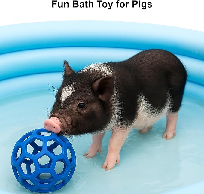 2Pcs Pig Enrichment Toys, Treat Ball Toy for Mini Pigs and Farm, Hanging Chew Ball Enrichment Toy with Rope for Pigs to Play with