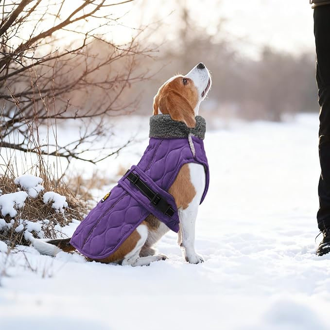 Dog Winter Jacket, Adjustable Water-Resistant Dog Warm Coat with Fleece Lining, Windproof Cold Weather Coats for Winter, Reflective Snow Jacket for Labrador Golden Retriever, NewPurple XL