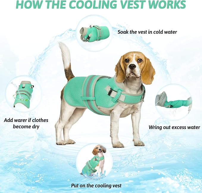 Cooling Vest for Small Dog,Lightweight Cooling Dog Jacket,Breathable Mesh Dogs Shirt Harness Vest with Adjustable Straps Reflective Stripe for Hot Weather with D-ring for Beach,Hiking,Walking,S