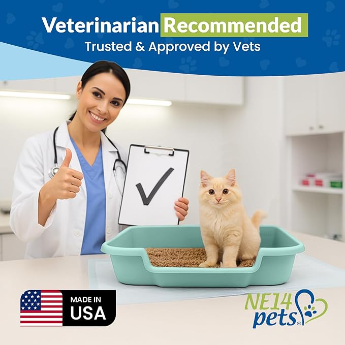 KittyGoHere Senior Cat Litter Box, Large Litter pan, Open Top Low Entrance Kitty Litters Box, Lightweight Low Entry Litter Box, Durable, Made in USA (2 Pack - Apple Green)
