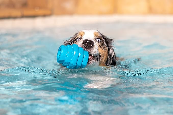 PROJECT HIVE ·PET COMPANY· - Soothing Vanilla Scented - Hive Chew Toy for Large Dogs - Dog Chew Toy for Large Breeds - Floats in Water - Durable and Tough - Made in The USA