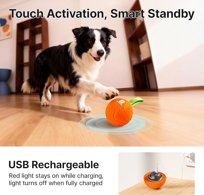 Potaroma Dog Ball Toys with Rope, Interactive Motion Activated 3 Mode USB Bouncing Ball Toys Durable E-TPU Material for Medium/Large Dogs, 3.2"-Not for Aggressive Chewers