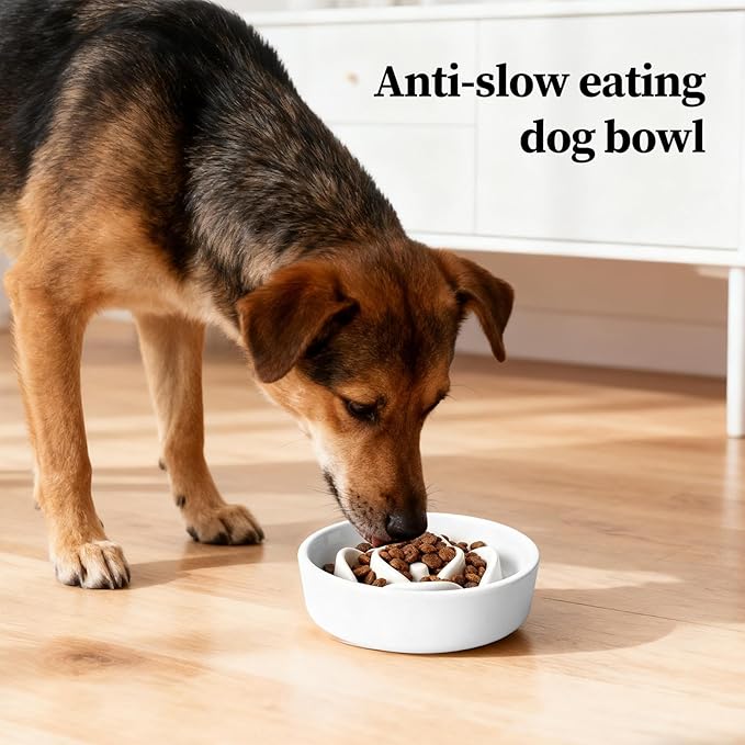 Pet Bowl - Slow Feed Dog Feeder | Fun Food Toy,Bowl for Puppies, Kittens, and Dogs, Encourages Slower Eating, Improves Digestion, Ideal for Home, Outdoor, Travel, and Daily Feeding Routines