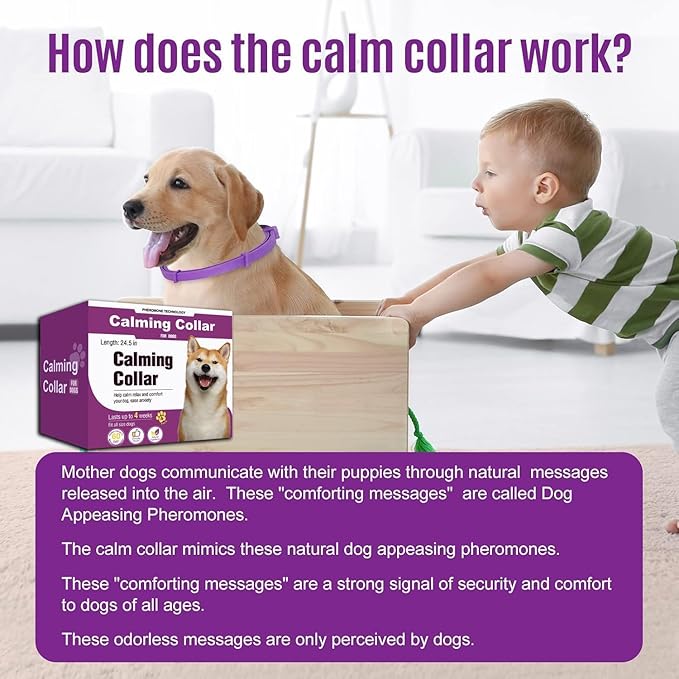 Calm Collar – 60-Day Pheromone Relief + Stress-Free Dog