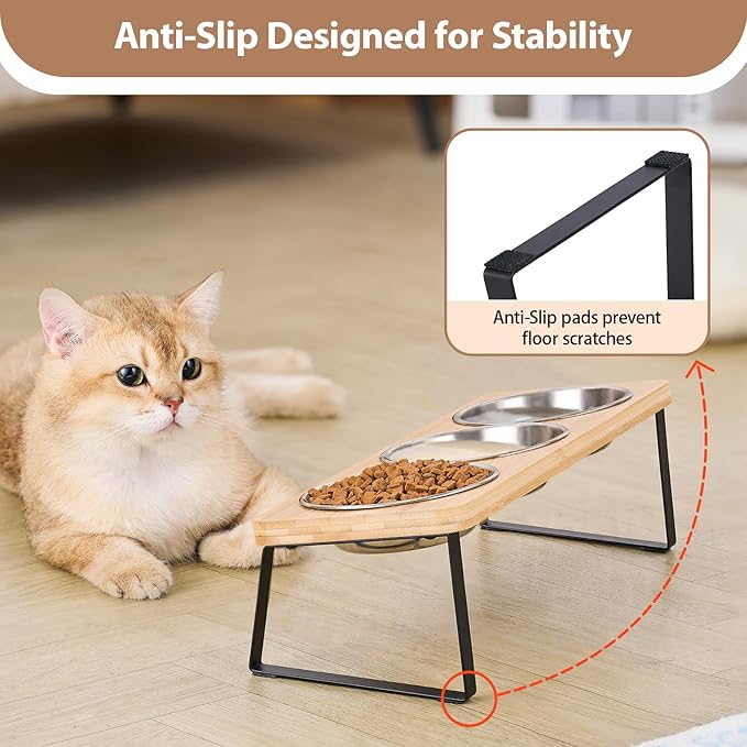 Elevated Cat Bowls for Cats and Puppies, Whisker-Friendly 15° Tilted Raised Cat Food Bowl, Anti-Vomiting Design with 3 Stainless Steel Dishes