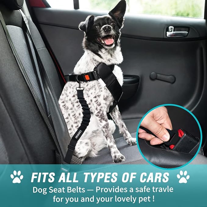 Dog Car Seat Belt – Adjustable Safety Harness with Elastic Bungee Buffer for Secure Travel – Teal