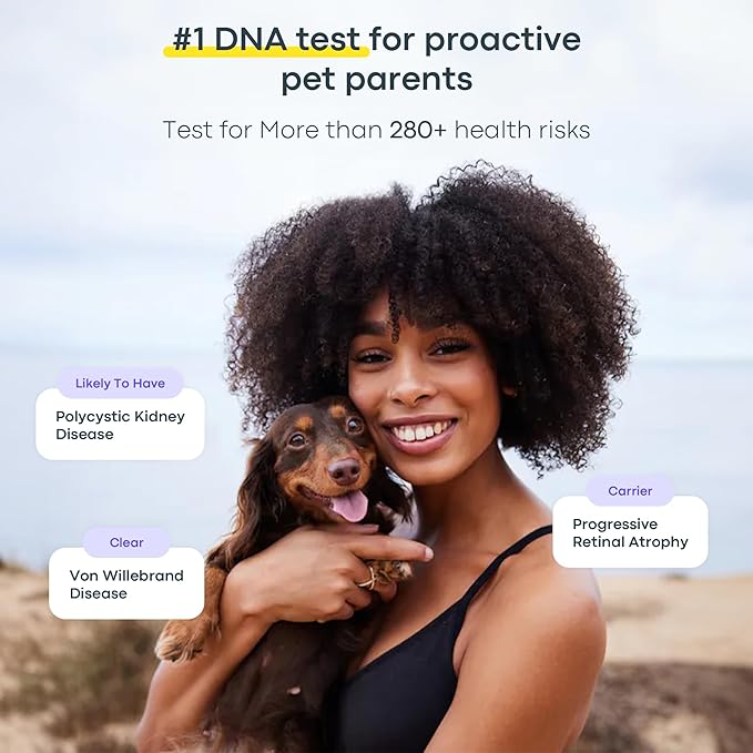 Basepaws Dog DNA Test Kit 2 Pack - 330+ Breeds, 280+ Health Risks, and 30+ Traits - Comprehensive Mixed Breed Identification, Pet DNA Test kit, Canine Genetic Ancestry and Heritage