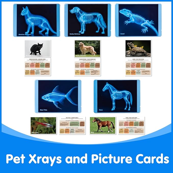 Pet Series Animal Xrays for Kids - Pet X-Rays Set, Light Table Manipulatives, Veterinarian Play Set & Dramatic Play Vet Clinic