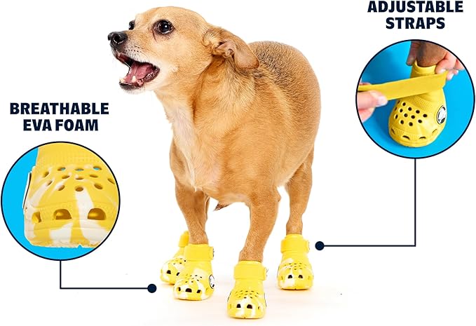 BarkBox Yellow Crocs Dog Shoes – Set of 4 Glow-in-The-Dark Dog Booties with EVA Foam, Adjustable Strap & Non-Slip Sole – Comfortable Paw Protection for Small Breeds (15–25 lbs)