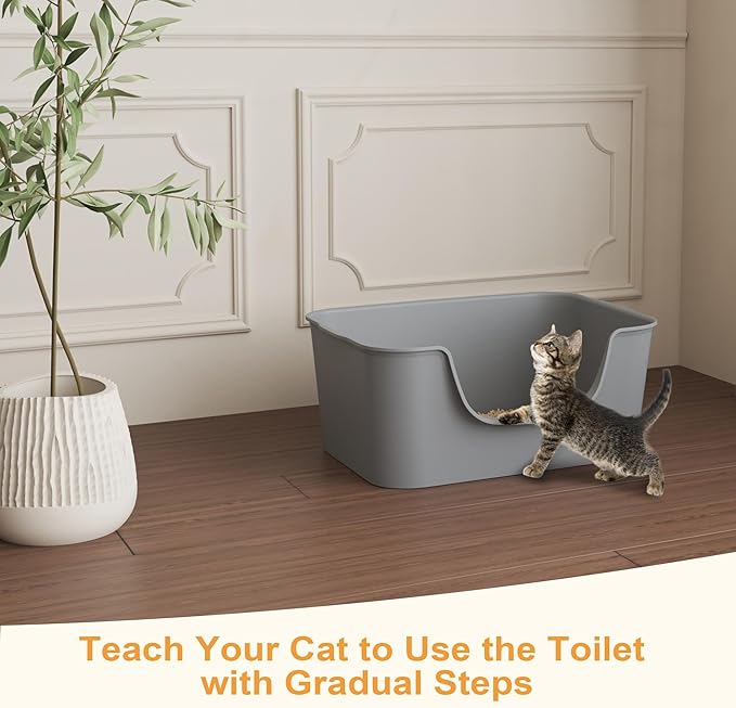 Low Entry Cat Litter Box with High Sides - Open-Top Anti-Splash, Durable Easy-Clean Pan for Kittens, Munchkin Cats, Senior Medium-Sized Cats & Small Pets (Rabbits), 19.3”x13.3”x7.8” Grey