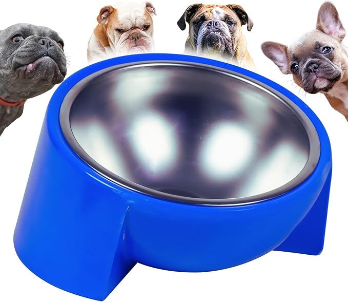 Tilted Dog Bowl for Flat-Faced & Senior Dogs, 15° Slanted Stainless Steel Dog Food Bowl, Elevated Pet Feeder for Small & Medium Dogs, Comfortable Eating Design (Blue, M (420 mL / 1.5 Cups))