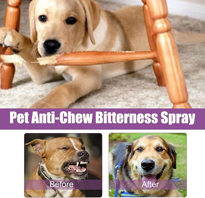 Ankexin Dog Calming Pheromone 50ml Effective Calm & Comfort Dogs During Travel Vet Visits and Stressful