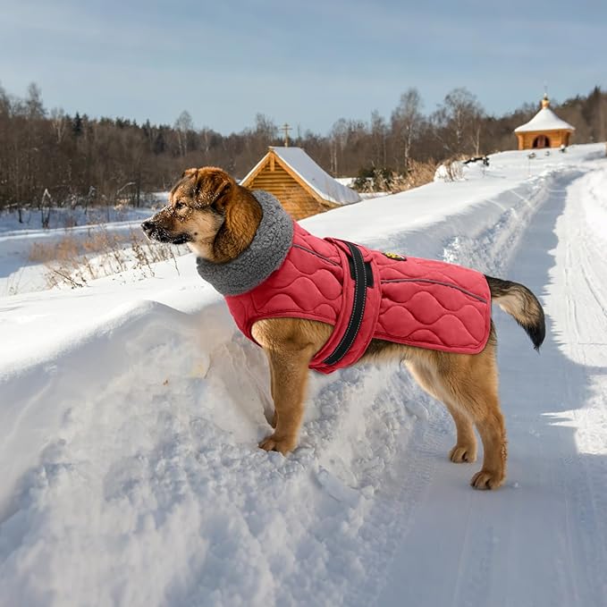 Dog Winter Jacket, Adjustable Water-Resistant Dog Warm Coat with Fleece Lining, Windproof Cold Weather Coats for Winter, Reflective Snow Jacket for Labrador Golden Retriever, NewRed XL