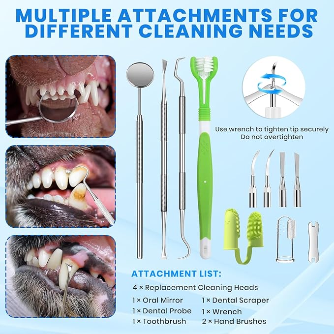 Dog Plaque Remover for Teeth,Pet Tooth Cleaner with LED Light,Cleaning Kit for Tartar and Stains,5 Adjustable Modes,Pet Teeth Cleaning kit,Suitable for Dogs and Cats (White)