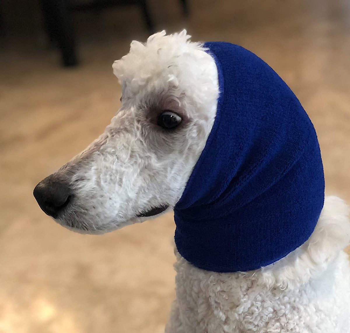 Pet Hoodz PHMB Pet Hoodies, Blue - Medium