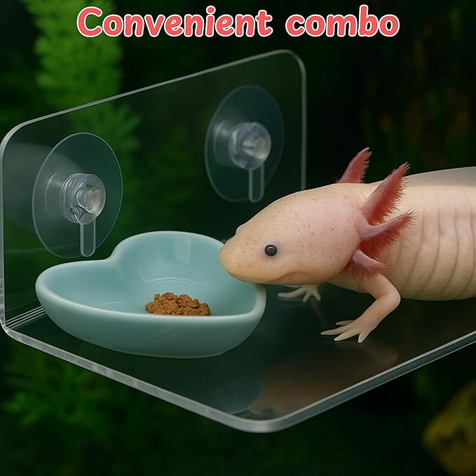 Axolotl Hammock Ledge for Aquarium and Feeding Dish, Axolotl Hammock with Ceramic Tray Feeder Bowl, Axolotls Accessories for Tank, Bearded Dragon Tank Accessories (Blue, 7.8x3.9in)